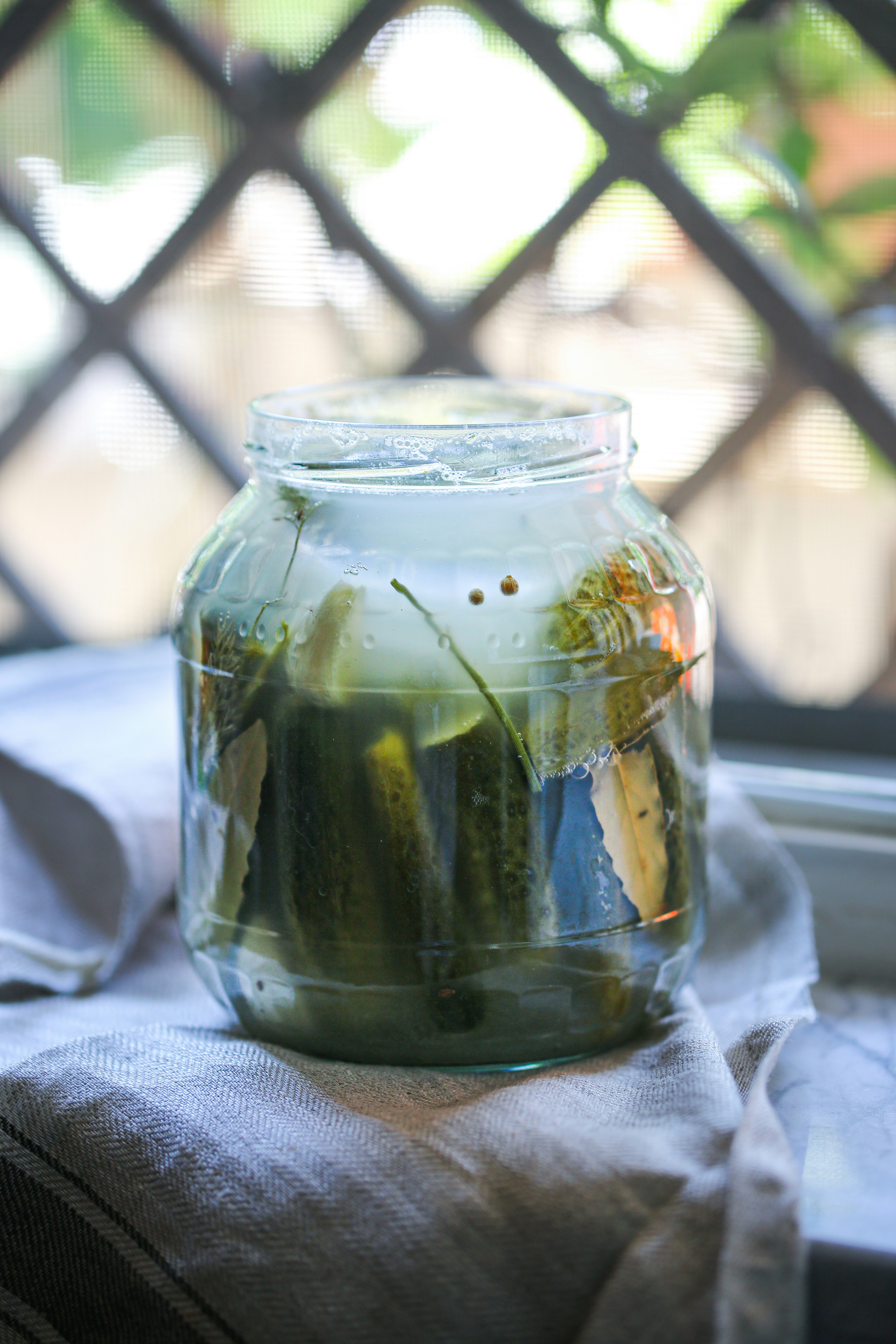 clear glass jar with green plant inside